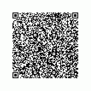 vCard 79506600313