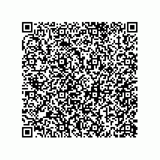 vCard 79506600369
