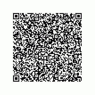 vCard 79506600381