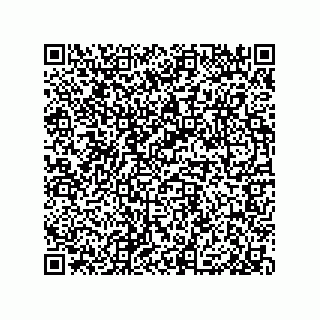 vCard 79506600382