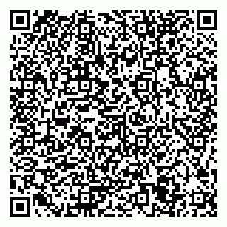 vCard 79506685038