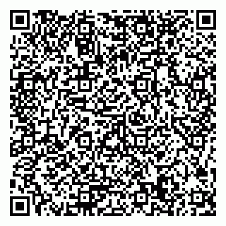 vCard 79506689014