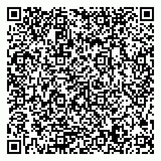 vCard 79506689032