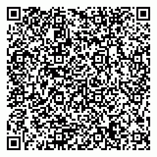 vCard 79506689133