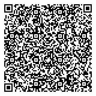 vCard 79506689141