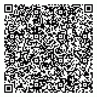 vCard 79506689181