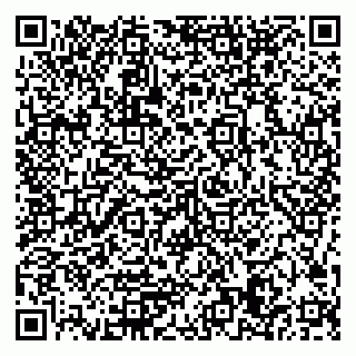 vCard 79506689210