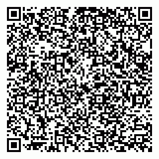 vCard 79506689311