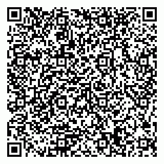 vCard 79506689313