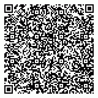 vCard 79506689329