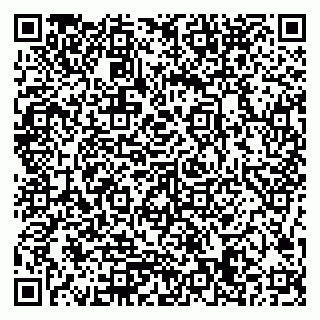 vCard 79506689333