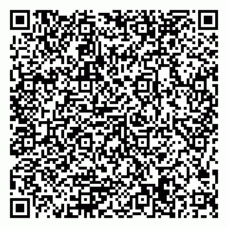 vCard 79506689385