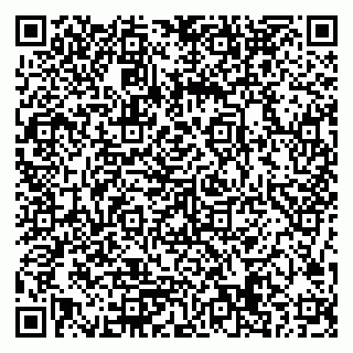 vCard 79506689387
