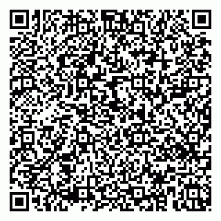 vCard 79507000399