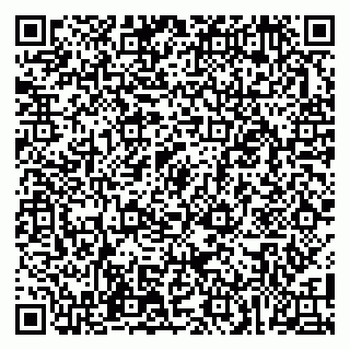 vCard 79507000539