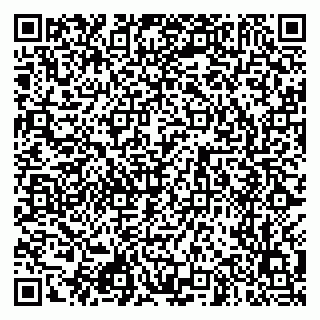 vCard 79507200291