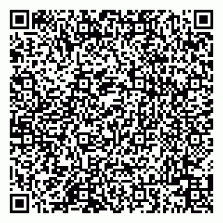 vCard 79508000539