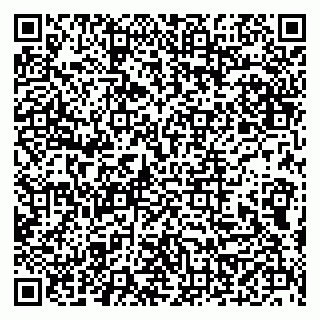 vCard 79508000739