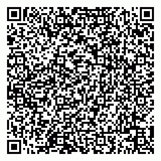 vCard 79508001039
