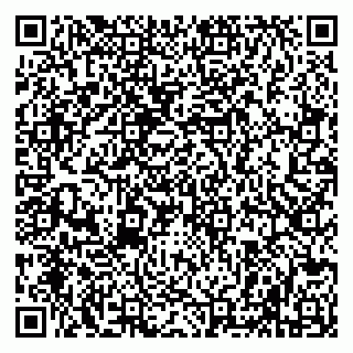 vCard 79508002011