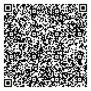 vCard 79508002091