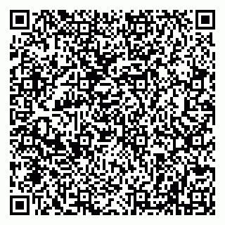 vCard 79508003131