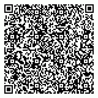 vCard 79508004039