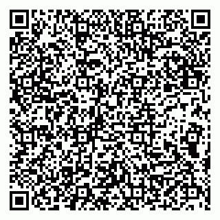 vCard 79508004132