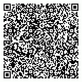 vCard 79508006539