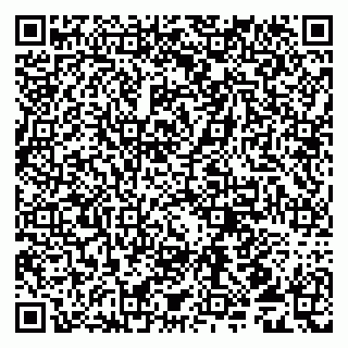 vCard 79509013039