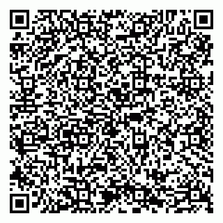 vCard 79509040173