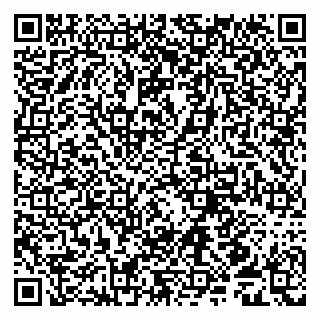 vCard 79509052039