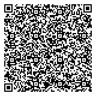 vCard 79509077335