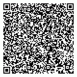 vCard 79509079073