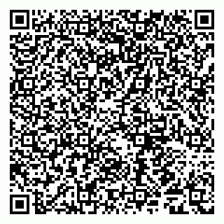 vCard 79509085331