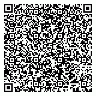 vCard 79509090208
