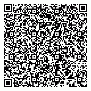 vCard 79509090803