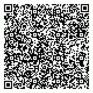 vCard 79509243733