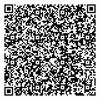 vCard 79509243873