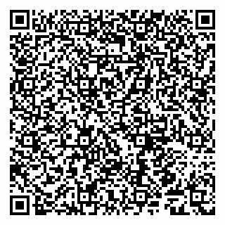 vCard 79509245331