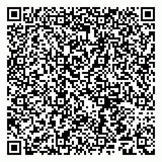 vCard 79509246331