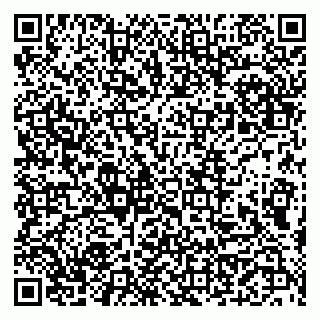 vCard 79509247919