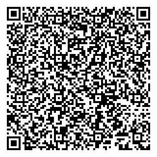 vCard 79509248331