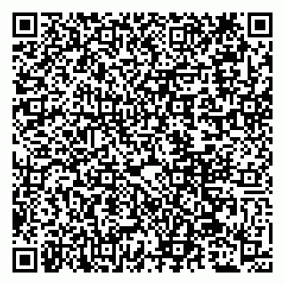 vCard 79509257331