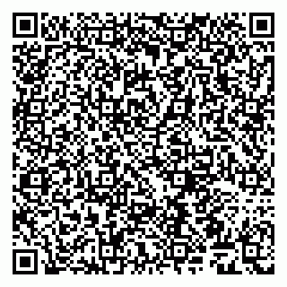 vCard 79509260733