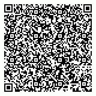 vCard 79509260985