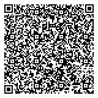 vCard 79509263003