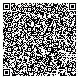 vCard 79509263172
