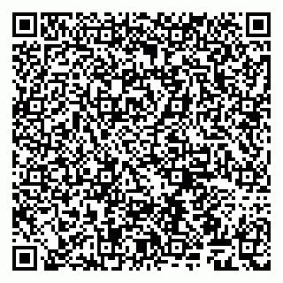 vCard 79509263231