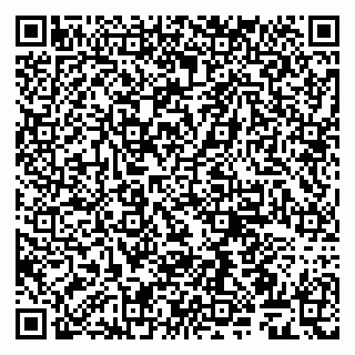 vCard 79509263239